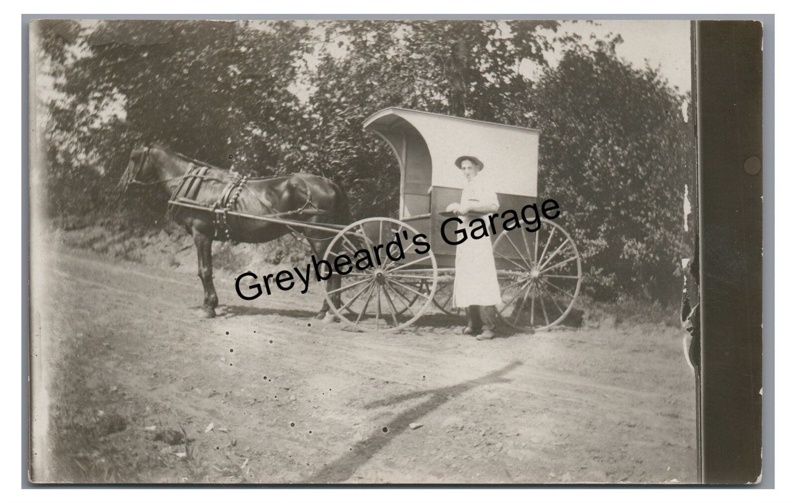 RPPC Horse Drawn Delivery Wagon Baker? EAST HARDWICK VT Real Photo Postcard