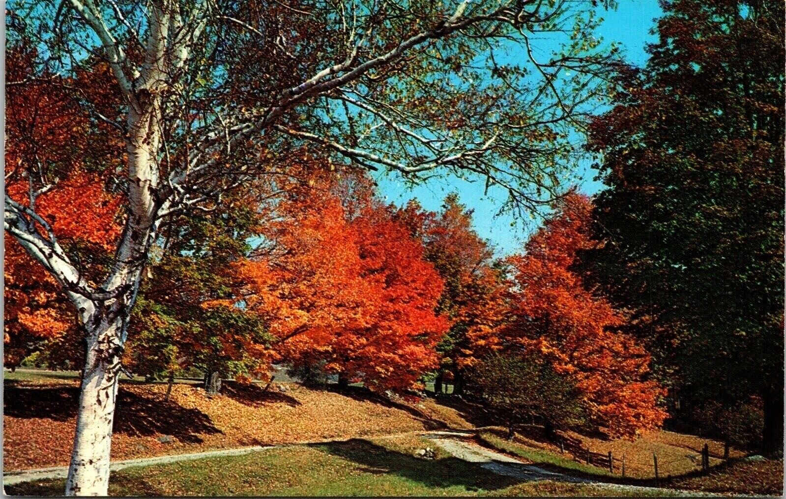 Fall Settings Rt 140 Tinmouth Vermont VT Rutland County Postcard UNP VTG Koppel Fall Settings Rt 140 Tinmouth Vermont VT Rutland County Postcard UNP VTG Koppel