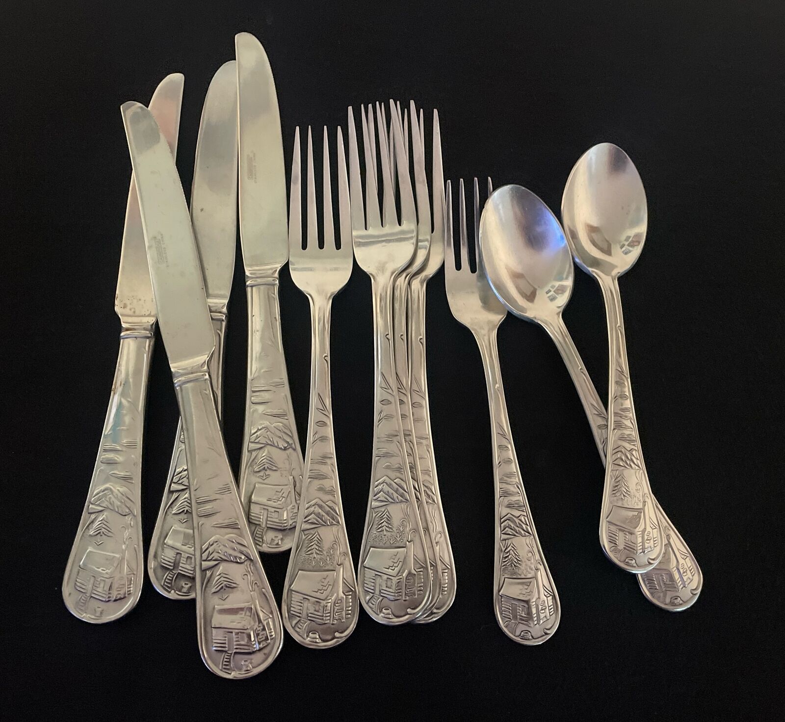 Cambridge CABIN Stainless Flatware 11 Pieces.