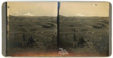 OREGON STEREOVIEW - Hood River - Orchard & Mount Hood - Frank Patterson 1910s picture
