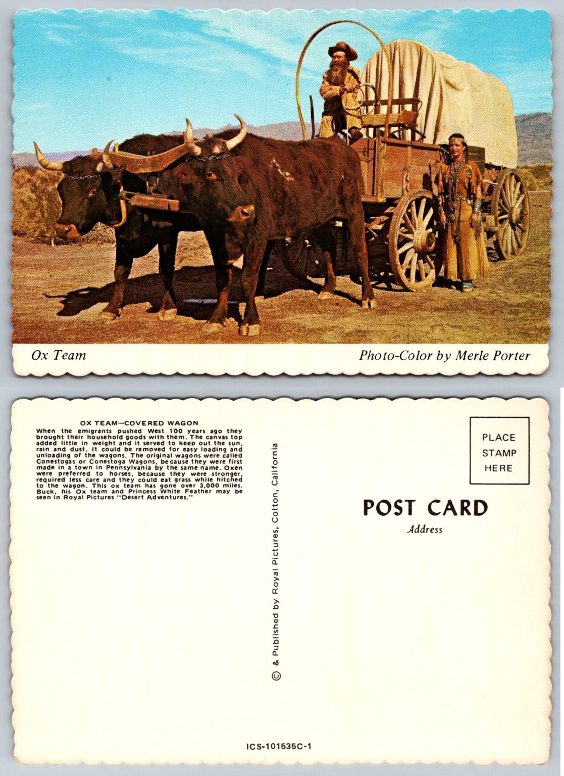 Ox Team Covered Wagon Postcard - Merle Porter Photo - Western Americana Ox Team Covered Wagon Postcard - Merle Porter Photo - Western Americana