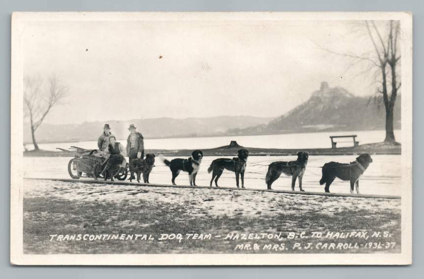 Dog Team HAZELTON British Columbia HALIFAX Nova Scotia RPPC Photo PJCarroll 1936