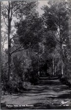 Vintage Aspen Trail in the Rockies Real Photo Postcard Sanborn A-795 RPPC picture
