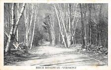 Saxtons River Vermont 1920-30s Postcard Birch Roadway picture