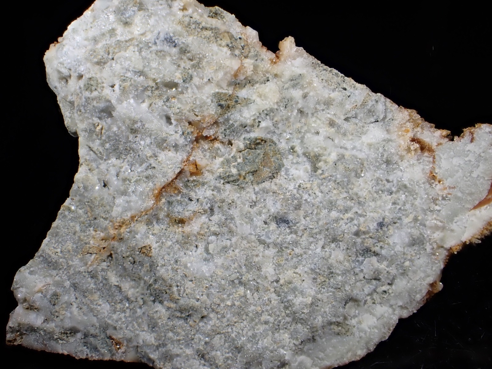 Rare Galena, Polybasite etc C&C Mine Comstock Dist. Storey Co Virginia