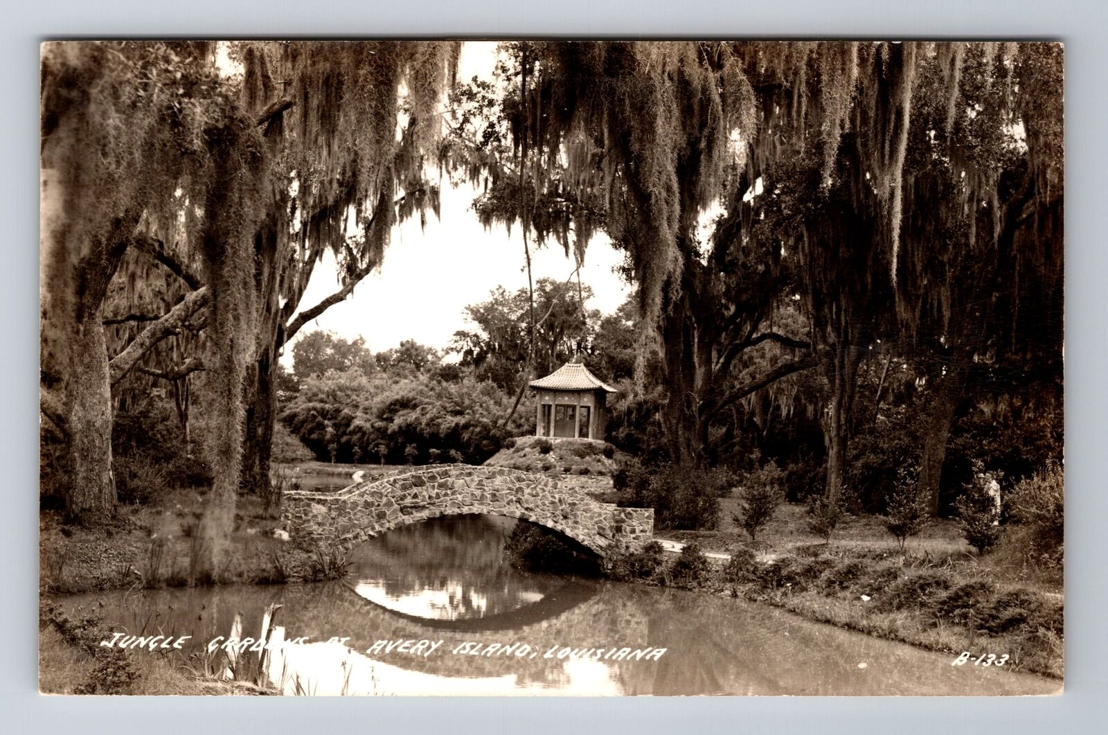 Avery Island LA-Louisiana, Jungle Garden, Advertising, Vintage Souvenir Postcard