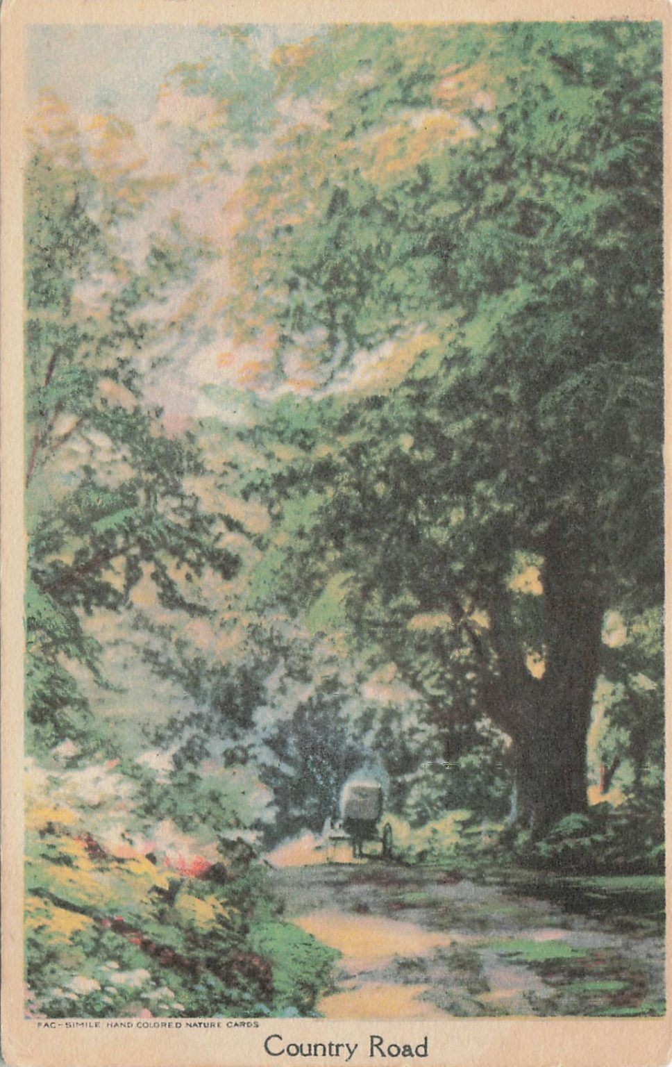 1919 West Pownal ME Country Road Hand-Colored Postcard Auburn Maine