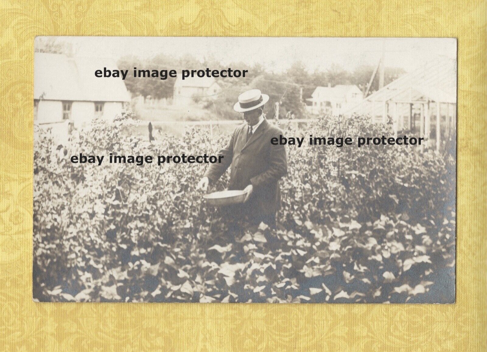 VT Enosburgh rare 1908-29 RPPC real photo postcard ED VRADENBURGH VERMONT