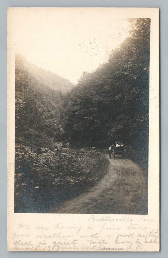 Proctorsville Road Vermont RPPC Antique Cavendish Photo Postcard 1907