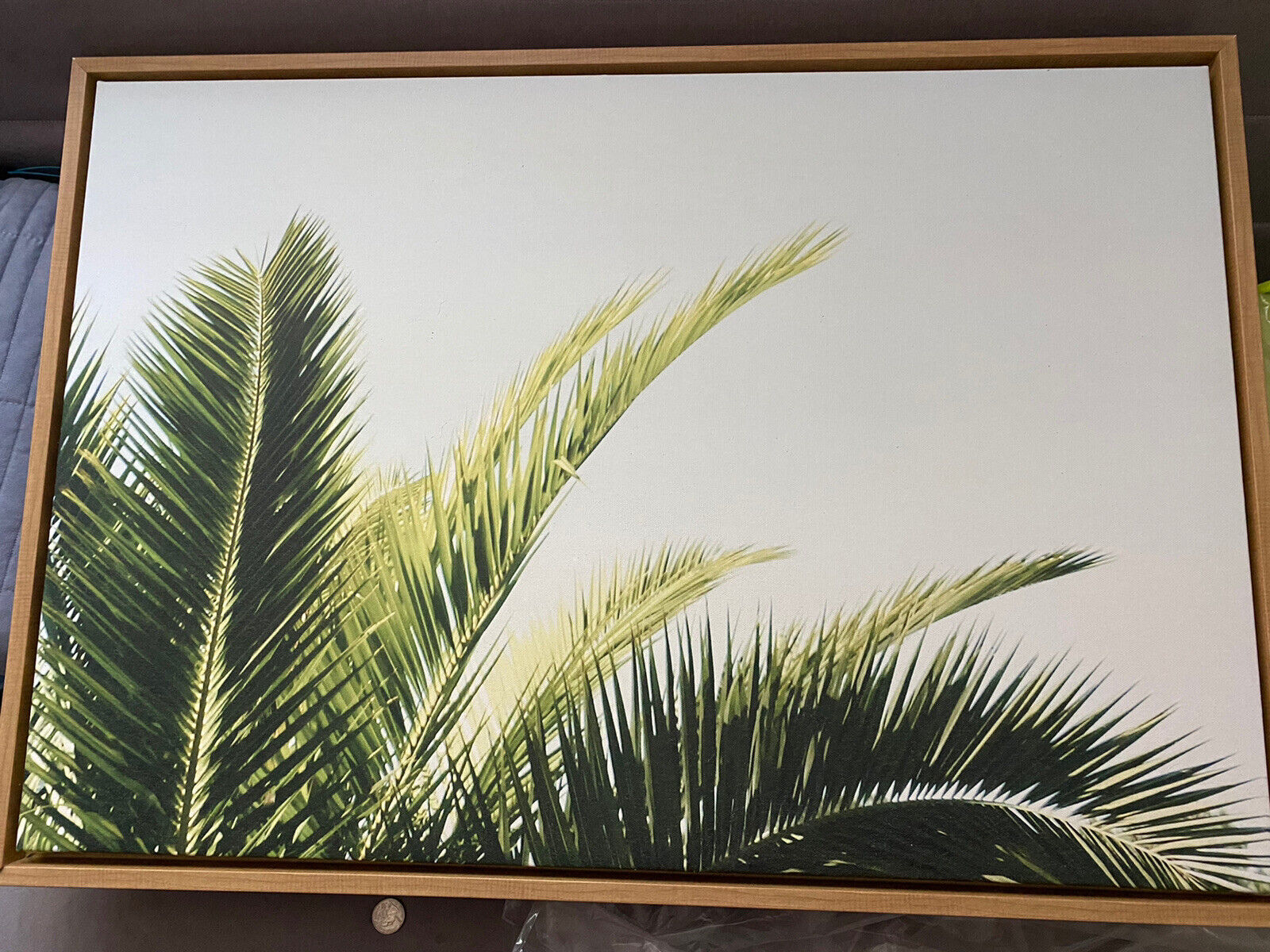 Amy Peterson Palm Frame
