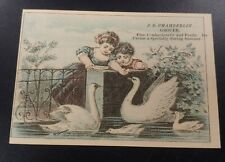 Trade Card J.B. CHAMBERLIN GROCER - CONFECTIONERY & FRUIT - FEEDING A SWAN picture