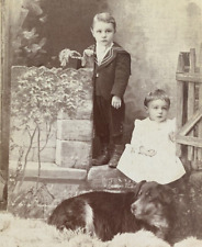 THE FAMILY PET Antique Cabinet Card  Dog Danville PENNSYLVANIA picture