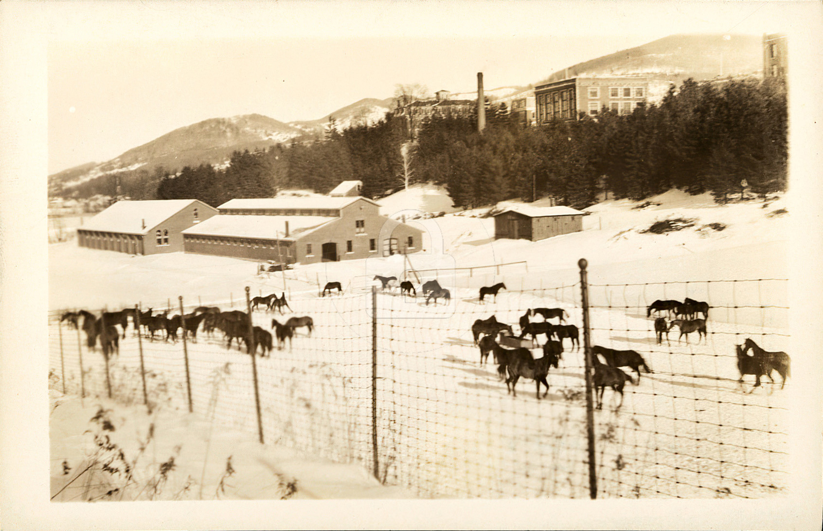 Norwich University, Northfield VT 2 (1944)  RPPC Photo Postcard Copy
