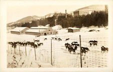 Norwich University, Northfield VT 2 (1944) RPPC Photo Postcard Copy picture