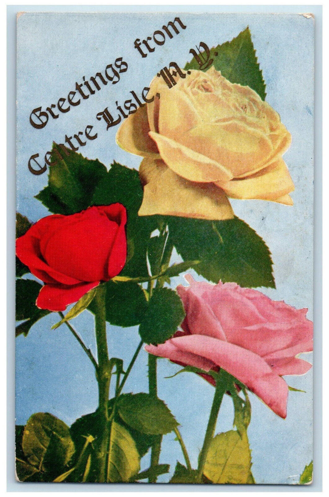 1907 Red Yellow Pink Flowers Greetings from Center Lisle NY Richford NY Postcard