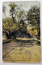1912 Appleton St. & Giant Willow Tree Dirt Road Waterville Maine ME Postcard L3 picture