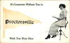 Proctorsville New York NY Pretty Woman Antique Chair Pennant Flag c1910 PC picture