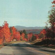 Autumn Drive Winding Road MA Brookline Massachusetts Chrome UNP Holiday Postcard picture