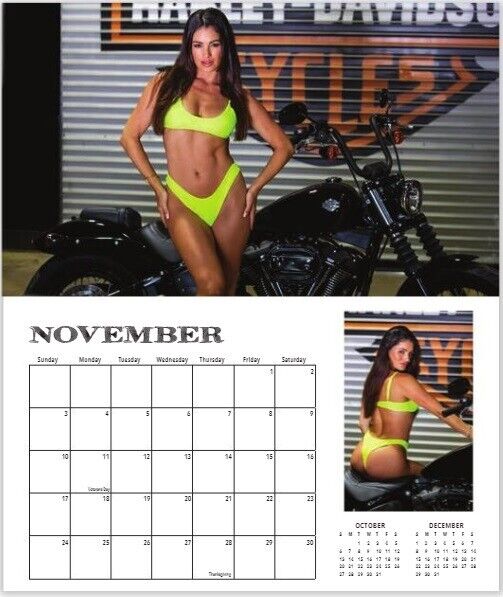 2024 V-Twin Vixens Calendar w/ Swimsuit Models Harley Motorcycles DREAM GIRLS