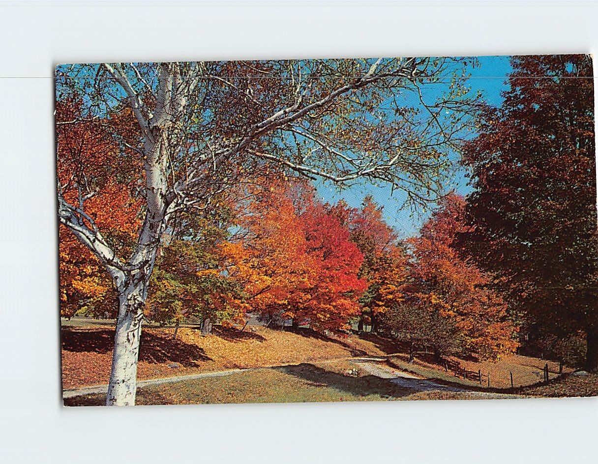 Postcard Beautiful Fall Setting Tinmouth Vermont USA Postcard Beautiful Fall Setting Tinmouth Vermont USA