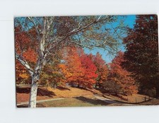 Postcard Beautiful Fall Setting Tinmouth Vermont USA picture