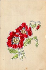 Red Poppies Embossed Floral Printed Postcard Posted 1907 Proctorsville VT picture