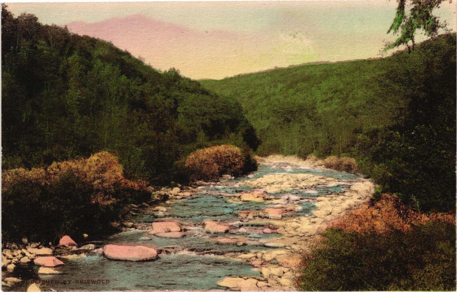 Vintage Postcard - The Roaring Branch Woodford City Stream Vermont VT #12783