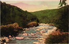 Vintage Postcard - The Roaring Branch Woodford City Stream Vermont VT #12783 picture
