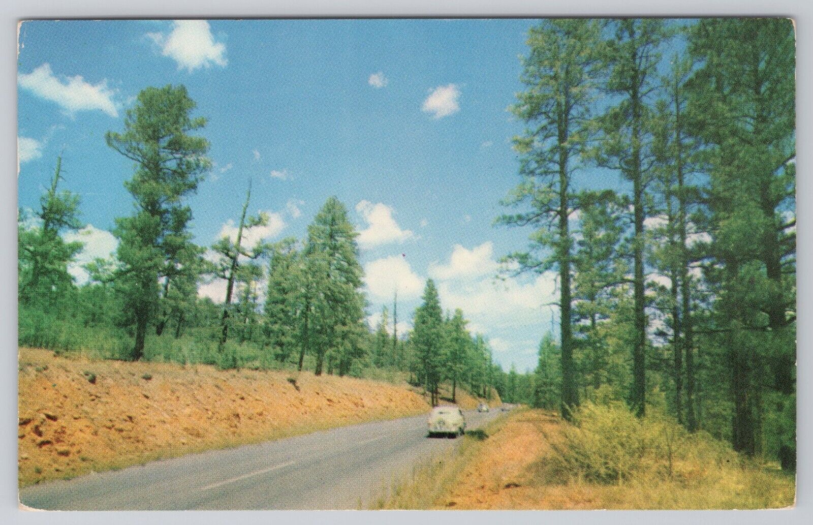 Arizona State Highway 60 Pine Trees Automobiles 