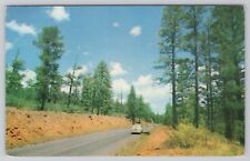 Arizona State Highway 60 Pine Trees Automobiles  picture