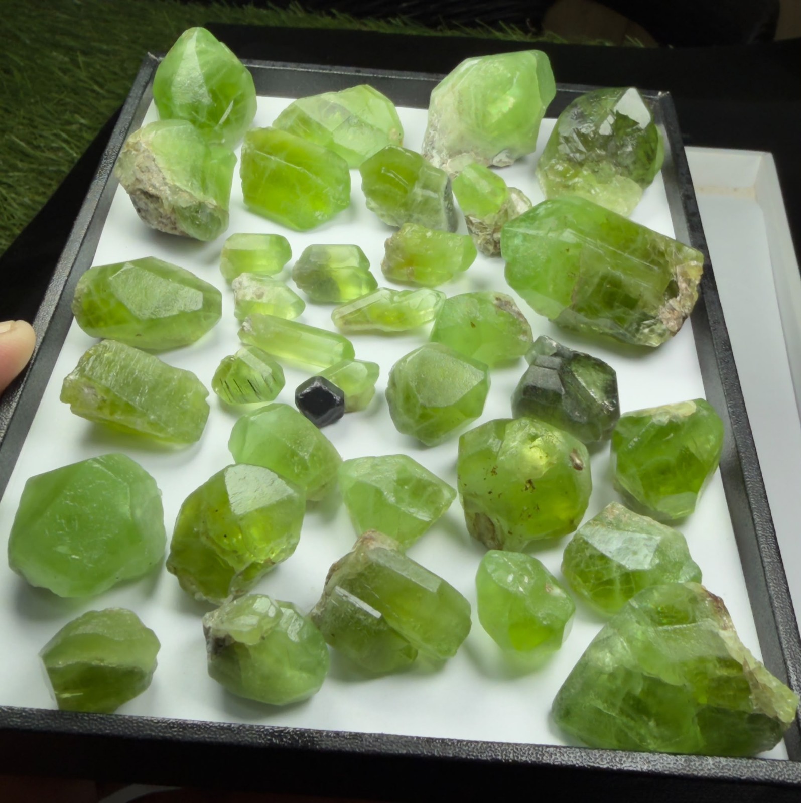 Wonderful Green PERIDOT CRYSTALS LOT - Excellent Quality - Terminated crystals Wonderful Green PERIDOT CRYSTALS LOT - Excellent Quality - Terminated crystals