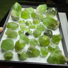Wonderful Green PERIDOT CRYSTALS LOT - Excellent Quality - Terminated crystals picture