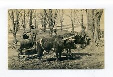 Weathersfield VT 1952 postcard, Ox Team, people working, barrel, sap's runnin' picture