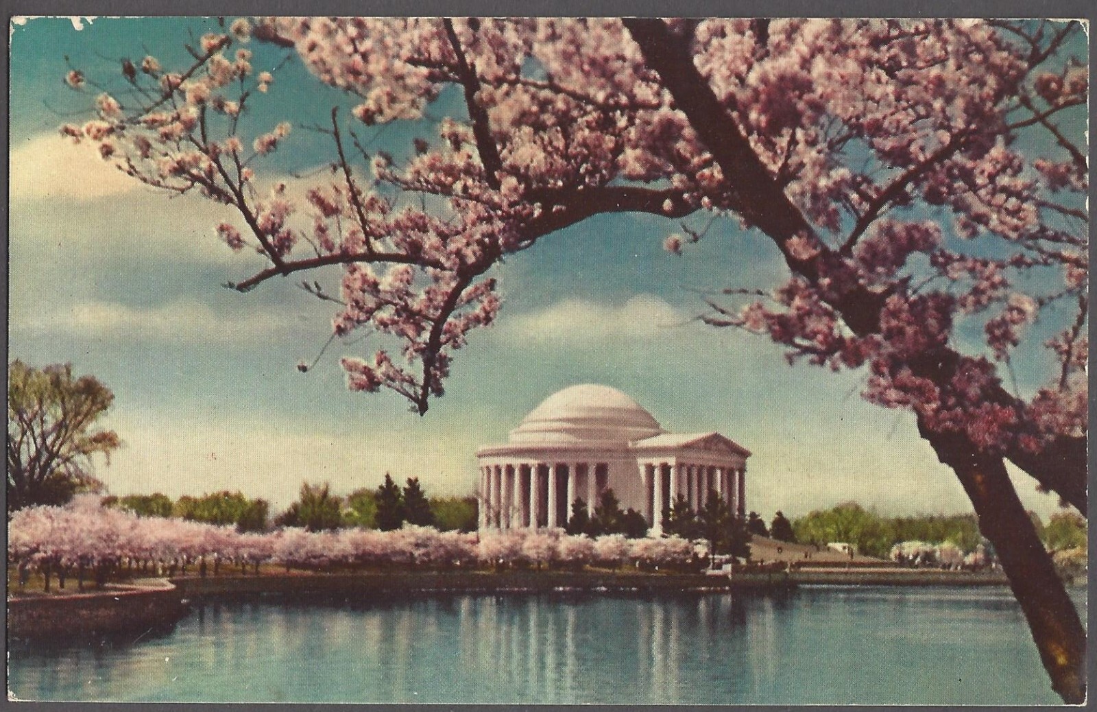 JEFFERSON MEMORIAL CHERRY BLOSSOM SEASON Postcard Washington D. C.