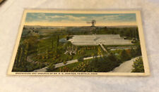 Fairfield CT Connecticut Greenhouse And Grounds Of MR O.G Jennings Postcard picture