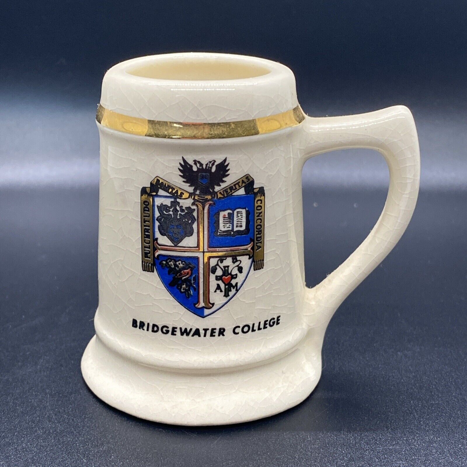 Bridgewater College Mini Mug