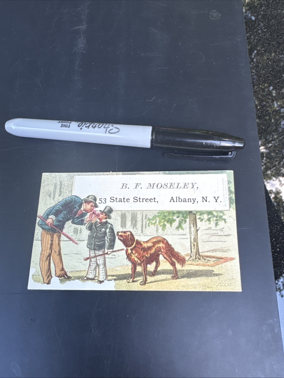 B. F. Moseley Trade Card-Mats & Rugs-Albany, NY. X152 B. F. Moseley Trade Card-Mats & Rugs-Albany, NY. X152