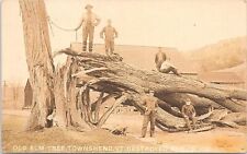 RPPC Townshend VT Town Scene Old Elm Tree Destroyed 1909 picture