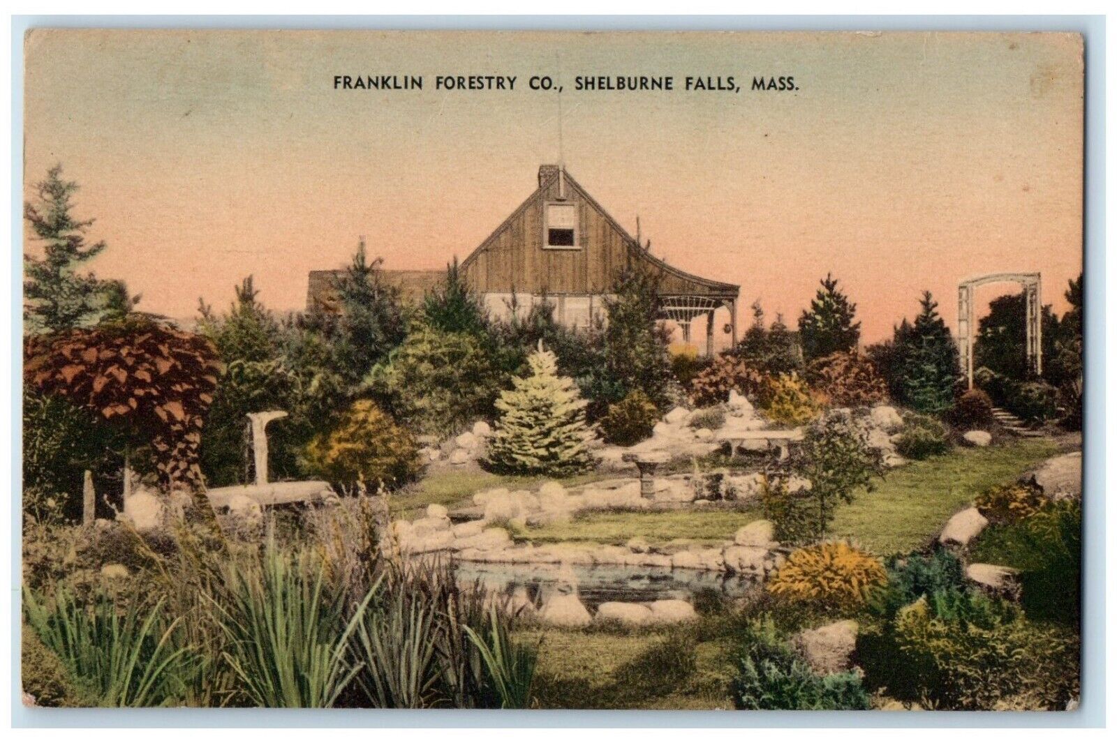 Franklin Forestry County Shelburne Falls Massachusetts MA Handcolored Postcard
