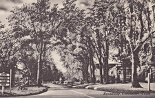 Colchester CT Historic Broadway Street Scene circa 1940s Unused Postcard picture