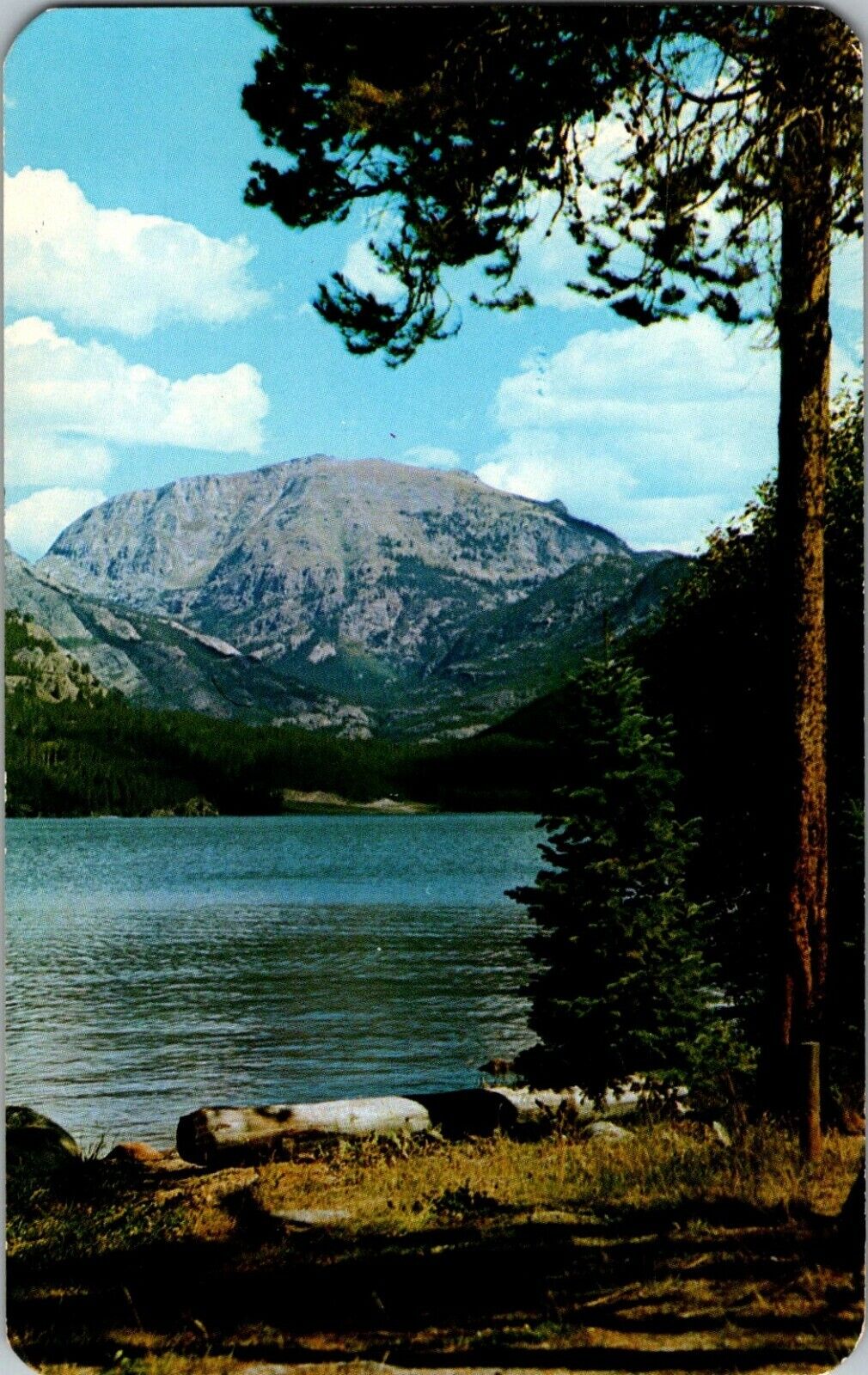 VTG Postcard CO Rocky Mountain National Park Baldy Mt. Craig Sanborn