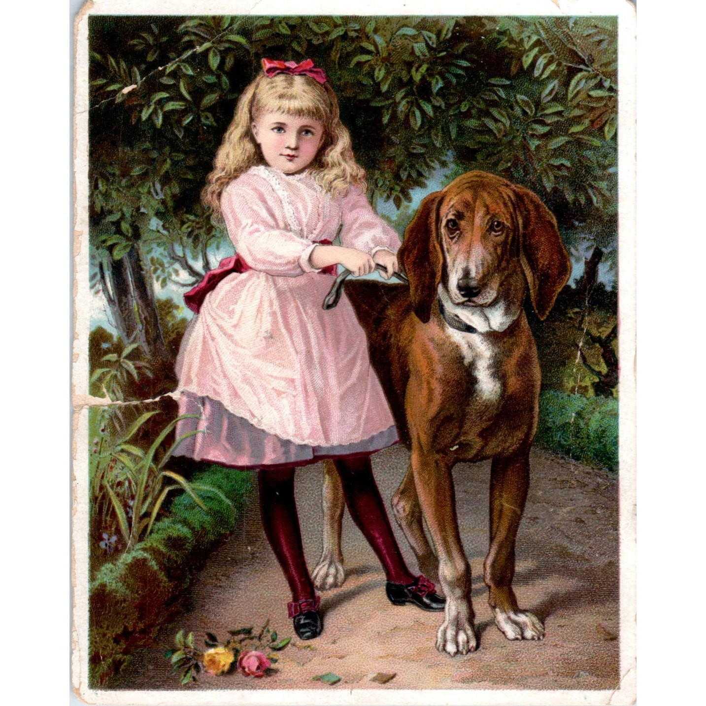 Girl With Bloodhound GA Eichman Richford WI c1880 Victorian Trade Card AE2 Girl With Bloodhound GA Eichman Richford WI c1880 Victorian Trade Card AE2