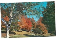Fall TINMOUTH Rt 140 Poultney Wallingford Rutland Co Vermont Postcard VT 1980 picture