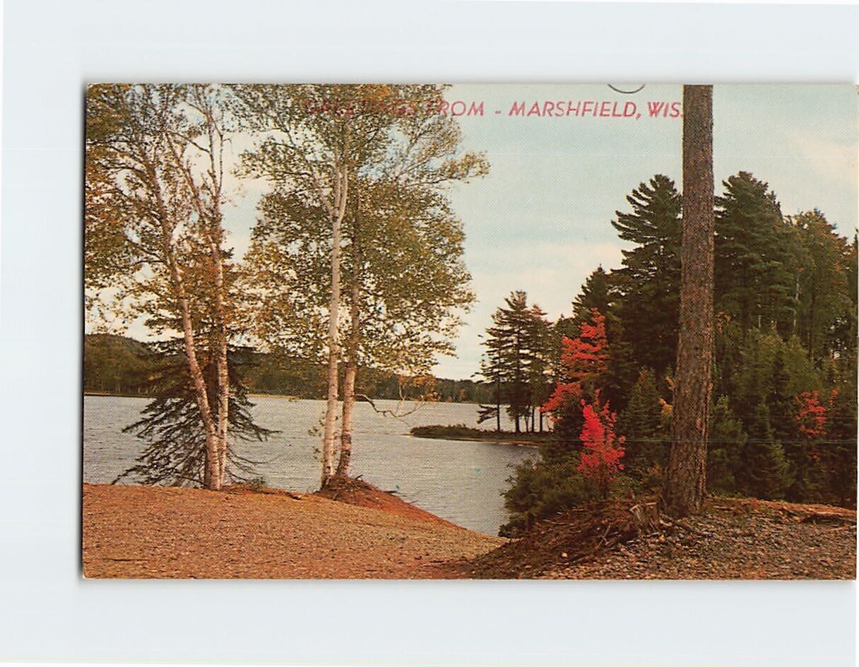Postcard Greetings From Marshfield Wisconsin USA