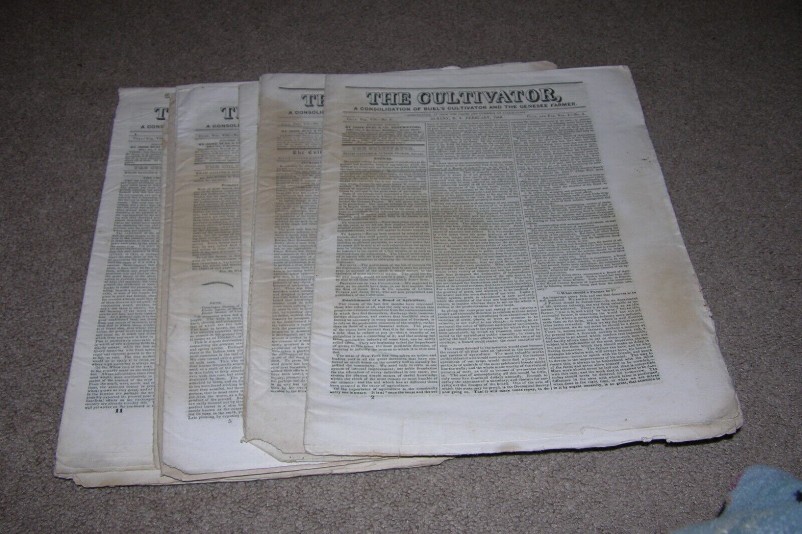 10 Issues 1840 The Cultivator Buel's Genesee Farmer Agriculture Albany NY