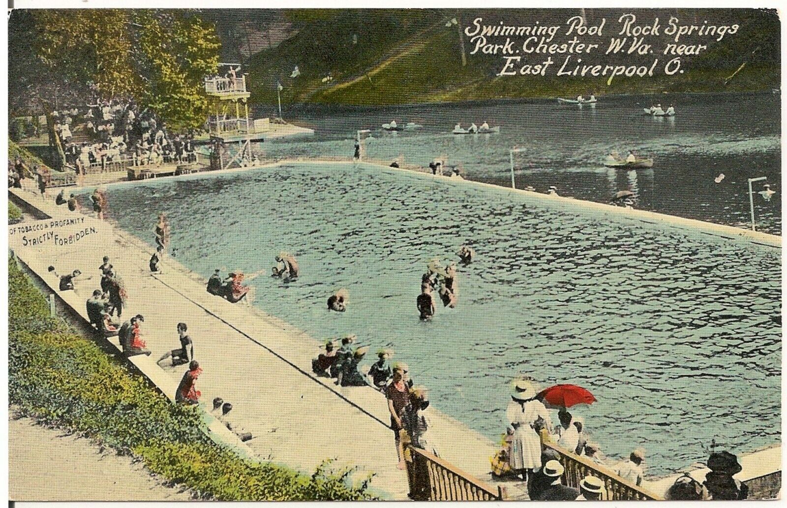 Swimming Pool, Rock Springs Amusement Park, Chester WV Postcard