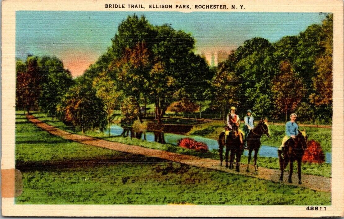 Vintage New York Postcard  - Horse Riding - Ellison Park - Rochester NY