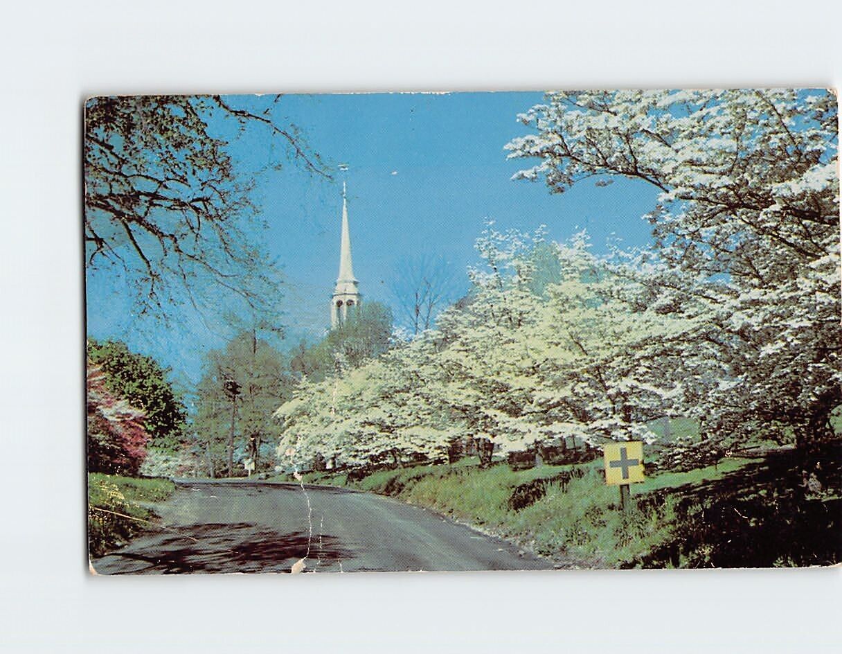 Postcard Greenfield Hill Congregational Church at Dogwood Time Fairfield CT USA