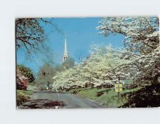 Postcard Greenfield Hill Congregational Church at Dogwood Time Fairfield CT USA picture