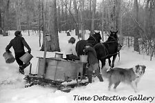 Hauling Vat of Maple Sap for Syrup, N. Bridgewater, VT-1940-Historic Photo Print picture